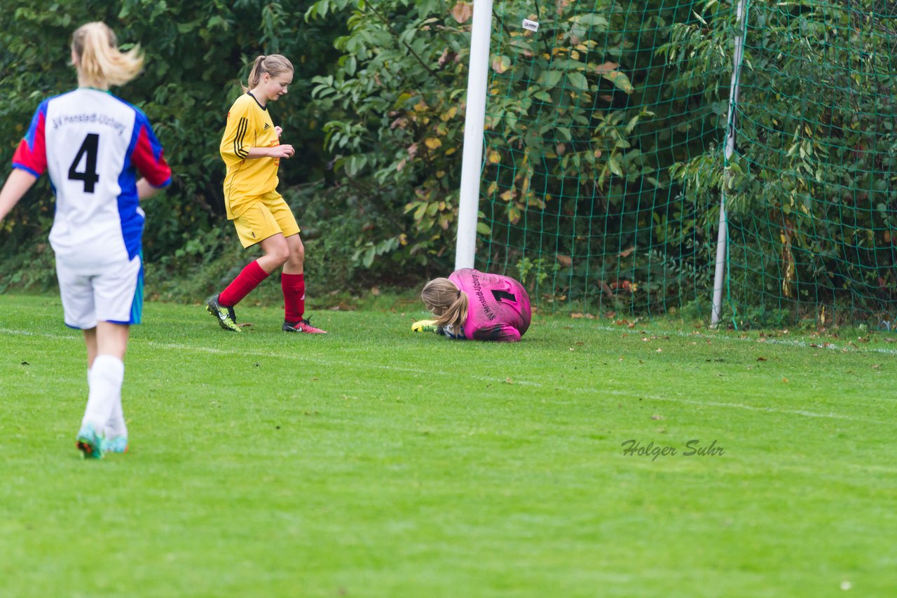 Bild 356 - B-Juniorinnen SV Henstedt Ulzburg - JSG Sdtondern : Ergebnis: 1:3